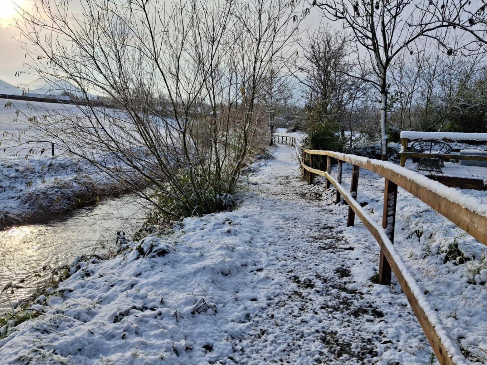 Riverside Cabin Limerick Junction エクステリア 写真