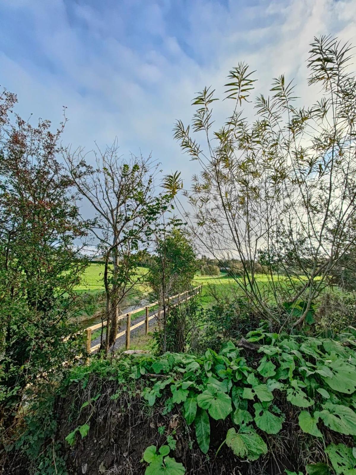 Riverside Cabin Limerick Junction エクステリア 写真